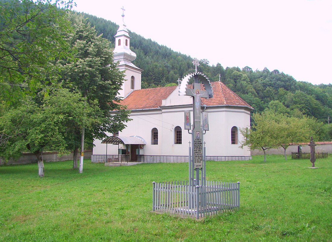 Sârbi, Arad