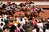 Racing at Ruidoso Downs.jpg