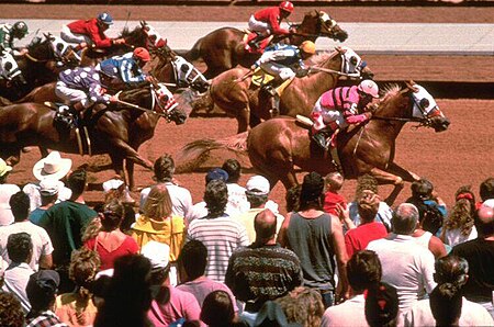 Racing at Ruidoso Downs.jpg