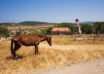 Castle of Ravadinovo