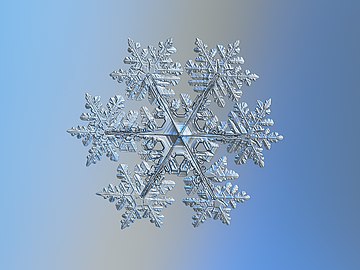 Real snowflake macro photo 2021-02-11 1.jpg