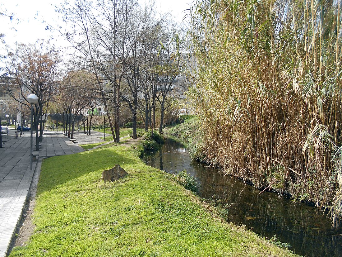 Acequia Condal