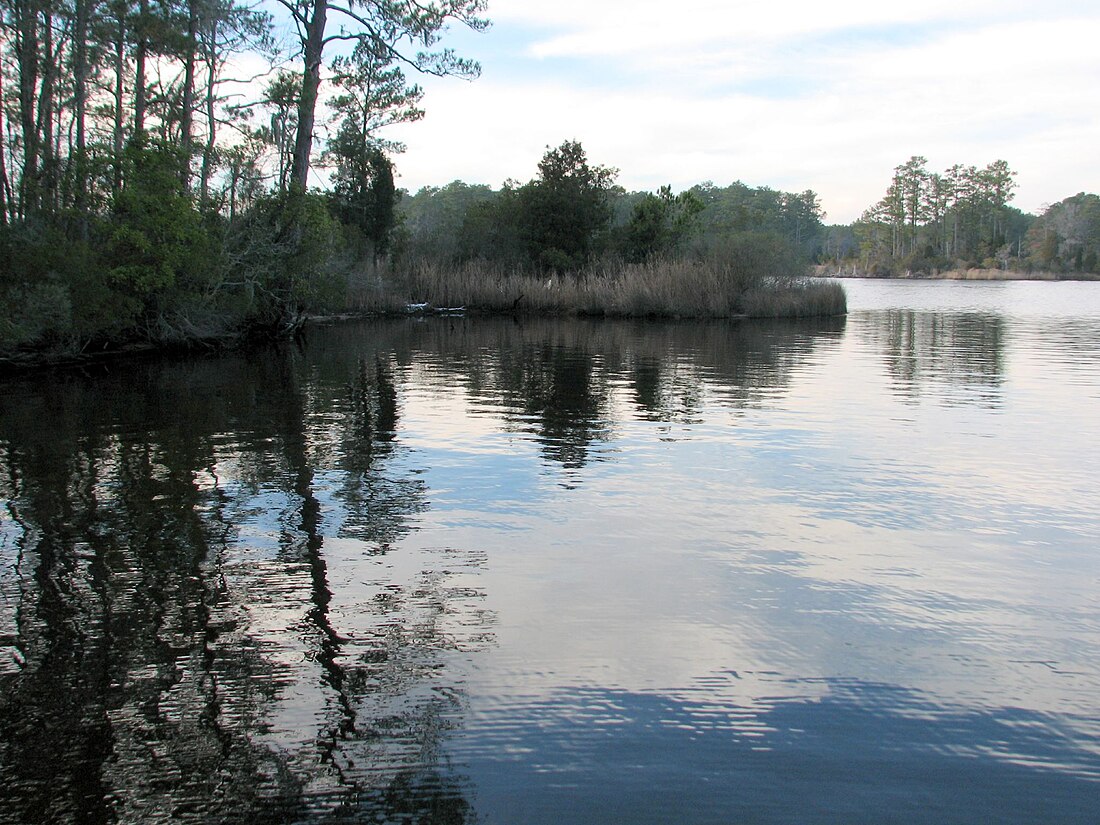 Beaufort Kūn (North Carolina)