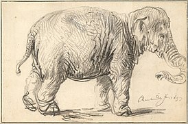 Rembrandt Harmenszoon van Rijn – Egy elefánt, 1637 – Google Art Project.jpg