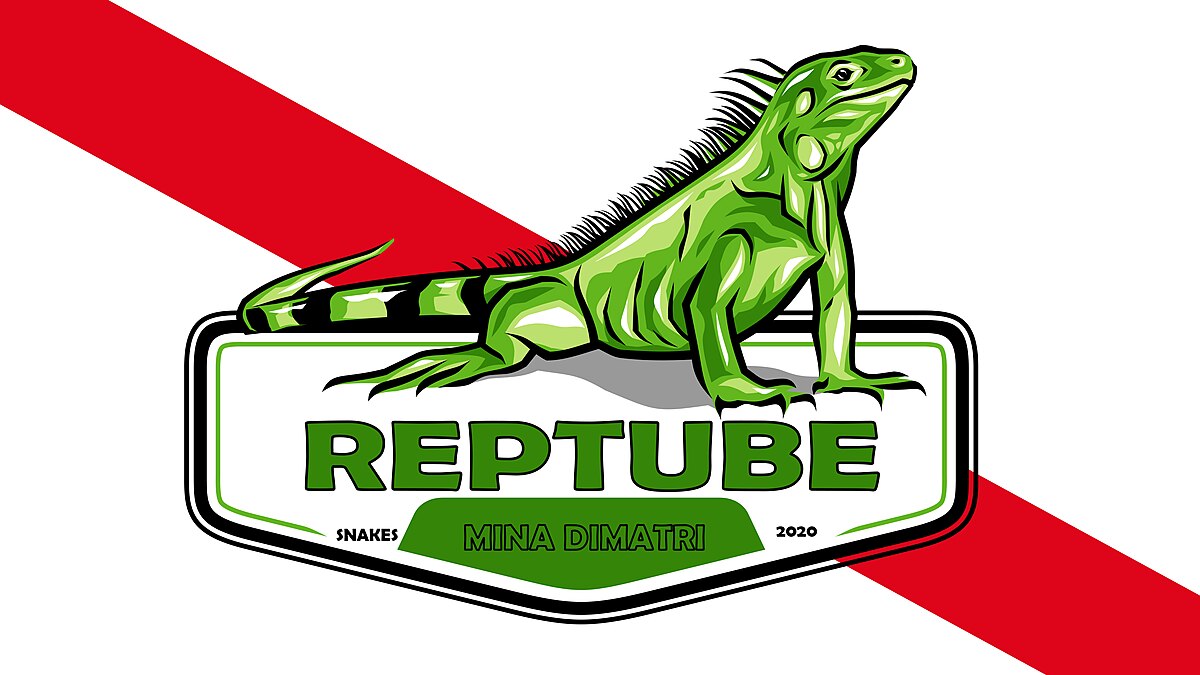 Reptube