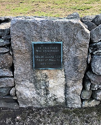 The centennial monument at Tripp's Farm Rhode Island Red centennial monument, Little Compton.jpg