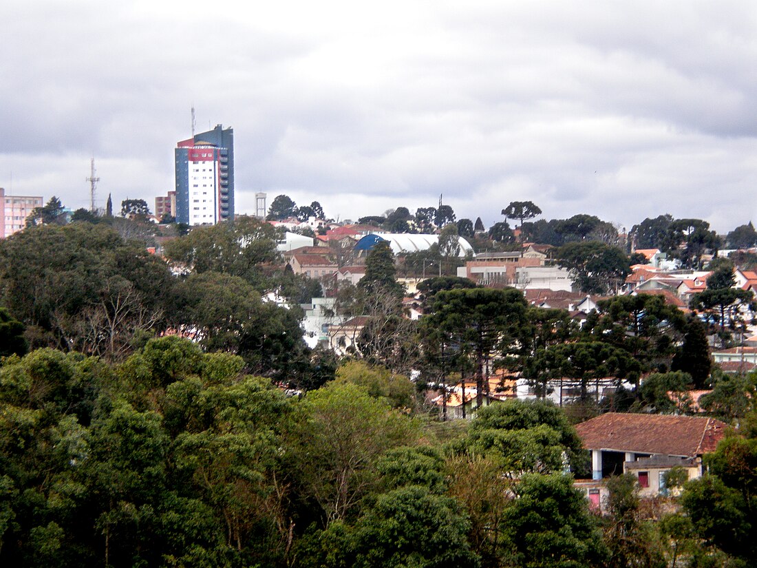 Rio Negro (município do Paraná)