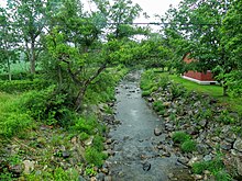 The river near its mouth.