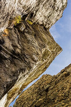 "Ruïne_Burg_Kropfenstein_(Casti_Grotta)-.jpg" by User:Agnes Monkelbaan