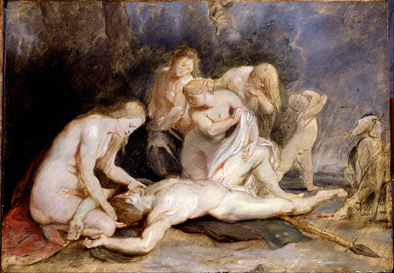 File:Rubens, Sir Peter Paul - Venus mourning Adonis - Google Art Project.jpg