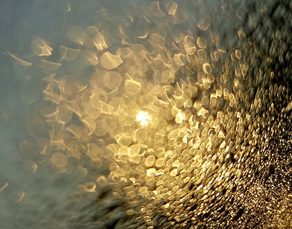 Orvalho no vidro iluminado pelo sol. Orvalho é a água em forma de gotículas que aparece em objetos finos e expostos pela manhã ou à noite devido à condensação. Quando as temperaturas são baixas o suficiente, o orvalho assume a forma de gelo, chamado de geada. (definição 3 288 × 2 587)