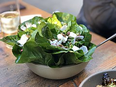 Salad - Stone and Embers - Nov 2018 - Stierch 02.jpg