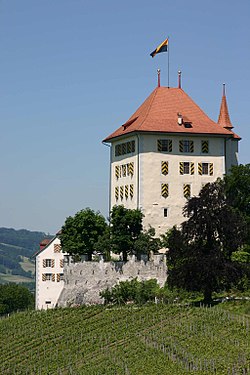Schloss Heidegg Schlossturm.jpg