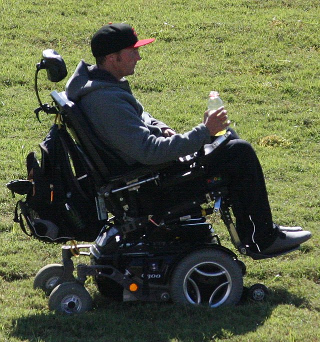 Wheelchair Guy, Happy Wheels Wiki