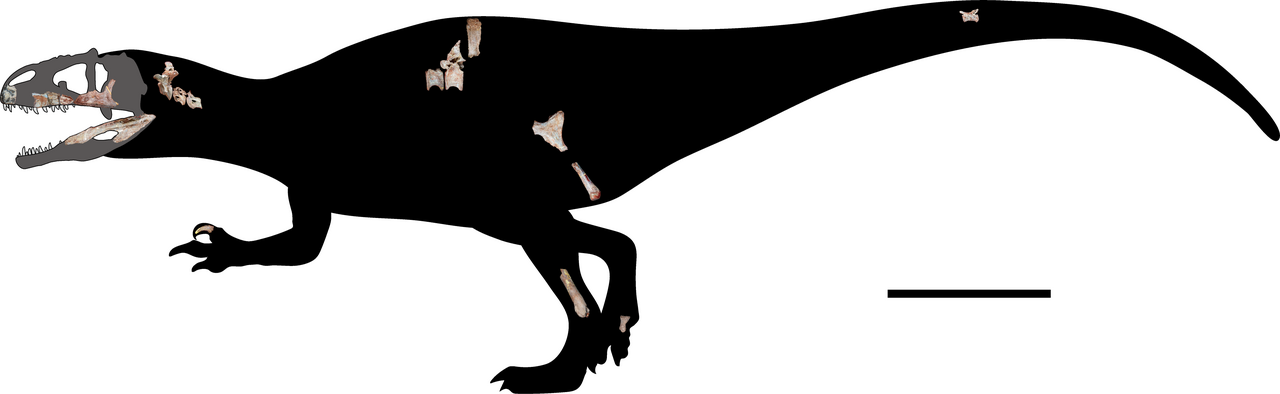 Siamraptor.png