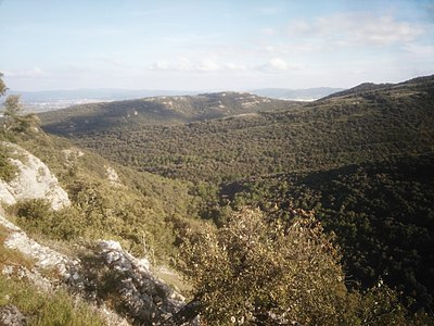 Batalla de Arrato