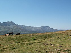 Sierra de Isar y Peña Labra.jpg