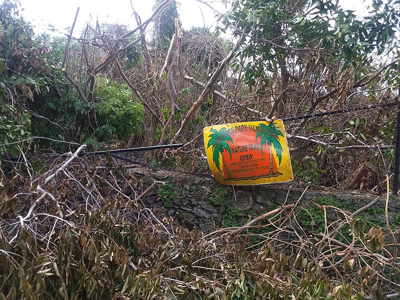 File:Simpson Park tropical hardwood hammock defoliated and damaged after 2017 Hurricane Irma 05.jpg