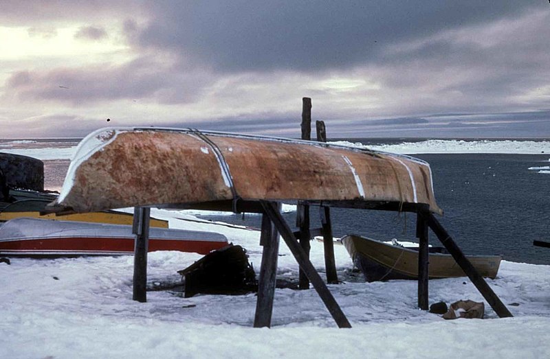 File:Skin covered boat.jpg