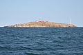 Snake Island (Black Sea) IMG 0535.jpg