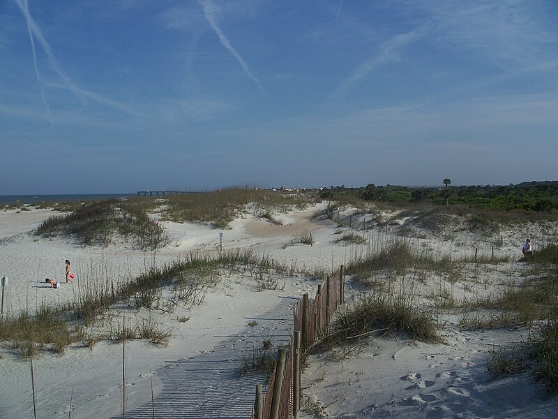 File:St Aug Anastasia SP dunes02.jpg