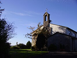 Katholieke kerk