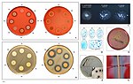 Miniatura para Archivo:Staphylococcus aureus identification.jpg