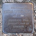 image=File:Stolperstein Dorsten Wulfener Straße 16 Bertha Lebenstein.jpg