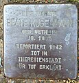 image=File:Stolperstein Höxter Ottbergen Nethestraße 4 Beate Kugelmann.jpg