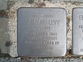 der Stolperstein für Salomon Levy