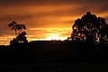 Sunset in Wandin, Victoria
