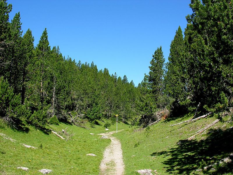 File:Swiss National Park 085.JPG