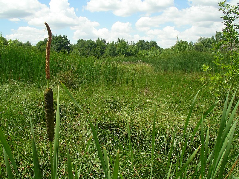 File:Szertár - panoramio.jpg