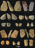 Stone tools from TD6.2, from the top left clockwise: simple flakes, cores, hammers, and retouched flakes as well as a chopper