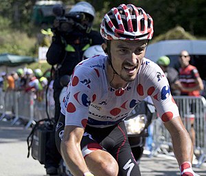 Julian Alaphilippe: Carrière, Style et caractéristiques, Palmarès et classements mondiaux