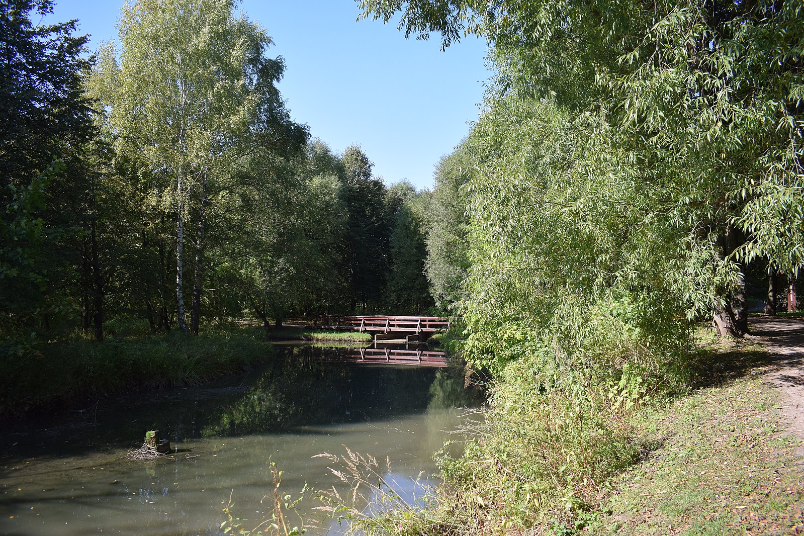 парк в тропарево