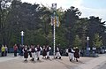 Tanz unterm Mai-Baum - Tradition 1.Mai im Seebad Zempin auf der Insel Usedom