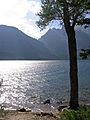 Still lake in Grand Teton National Park.