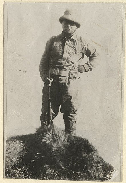Theodore Roosevelt with trophy killing.