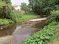 Flussbett der Thyra bei Niedrigwasser in Berga