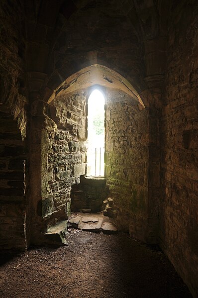 File:Tintern Abbey (9529).jpg