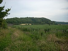 North side of Torberry Hill viewed from West Harting