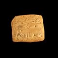 Petite tablette administrative enregistrant un déplacement de bétail pour le compte d'un temple, Girsu, c. 2060 av. J.-C., Musée des beaux-arts de Lyon.