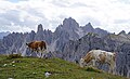 Dolomites: Localisaziun, La descurida dles Dolomites, La formaziun dles Dolomites
