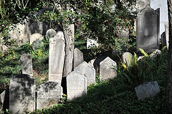 Třebíčin juutalainen hautausmaa.