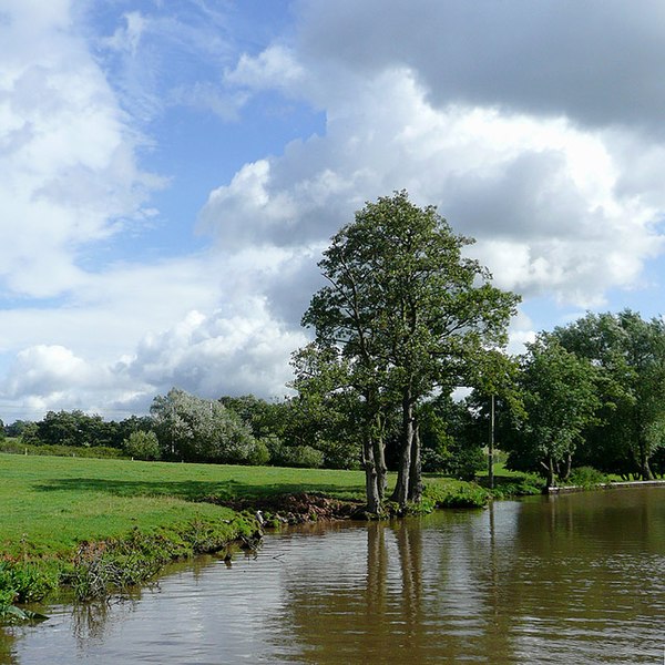 File:Trent and Mersey Canal at Barlaston, Staffordshire - geograph.org.uk - 1479600.jpg