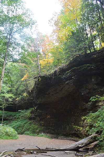 File:Turkey Run State Park - 097.jpg