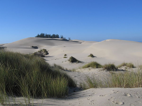 Dunes outside Reedsport