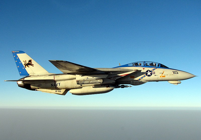  File:US Navy 051010-N-5088T-001 A specially painted F-14D Tomcat, assigned to the Blacklions of Fighter Squadron Two One Three (VF-213), conducts a mission over the Persian Gulf.jpg 