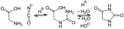 Syntese af hydantoin fra glycin og isocyanat (Urech-syntese)